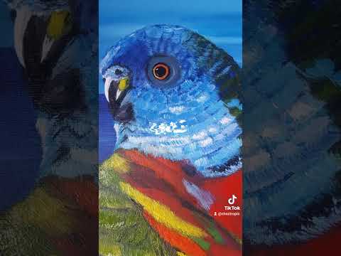 Parrot lovers || Amazona Versicolor