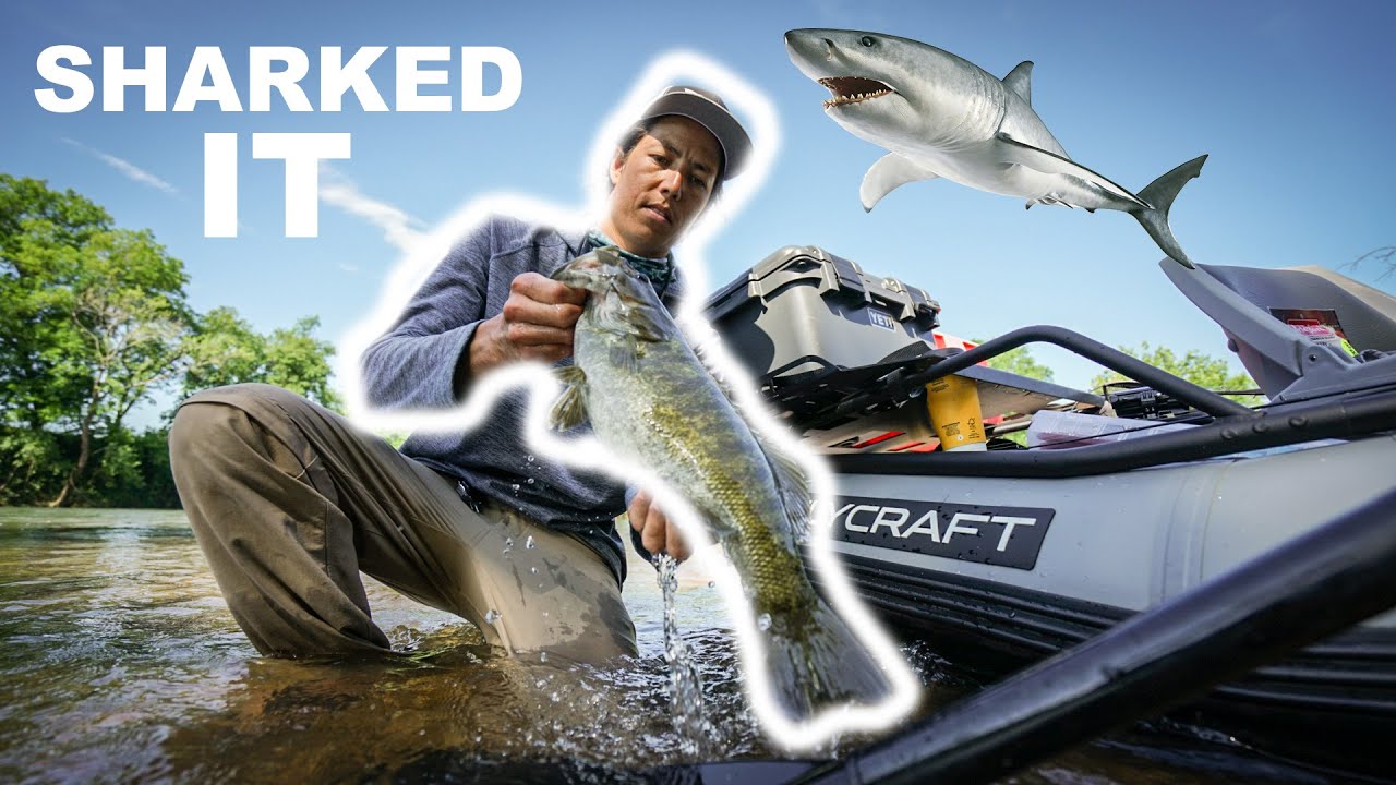 Big River Smallmouth Eats Spinner Bait like a Great White Shark