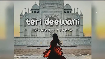 Teri Deewani ( slowed reverb ) | Kailash Kher | song City