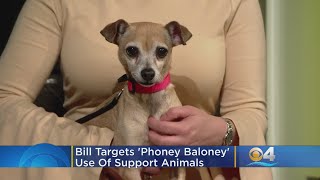 Florida Bill Targets 'Phoney Baloney' Use Of Support Animals