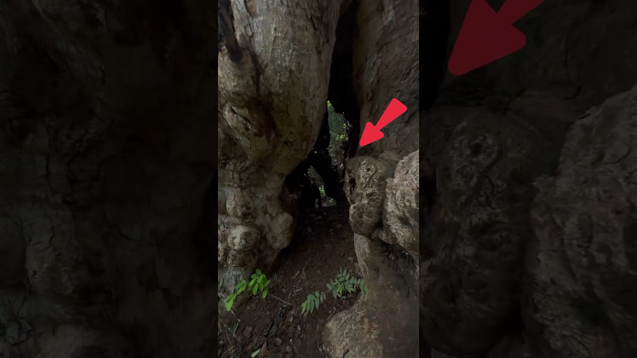 Ghost voice recording 😱