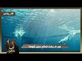 نور غـ ــرقت قدام عين ابوها اب ولكن