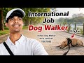 International Job | Dog Walker | Indian Dog Walker First Time On YOUTUBE