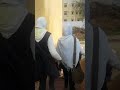 مدرسة السيد عبدالجليل ع بنات مركز ادكو محافظة البحيره 