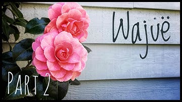 Learn My Conlang | Wajuë: Vowel Combos [1]