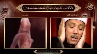 Qari Abdul basit Recite Holy Quran ⚘   YouTube screenshot 4