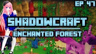 Enchanted Forest | ShadowCraft | Ep. 47