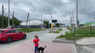 Mirków, ul. Kiełczowska, przejazd kolejowy z kotem, railway  crossing with cat, [4K]