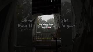 when the time is right.... even the wind blows in your direction....!!🍃 #ytshorts #quotes #trending