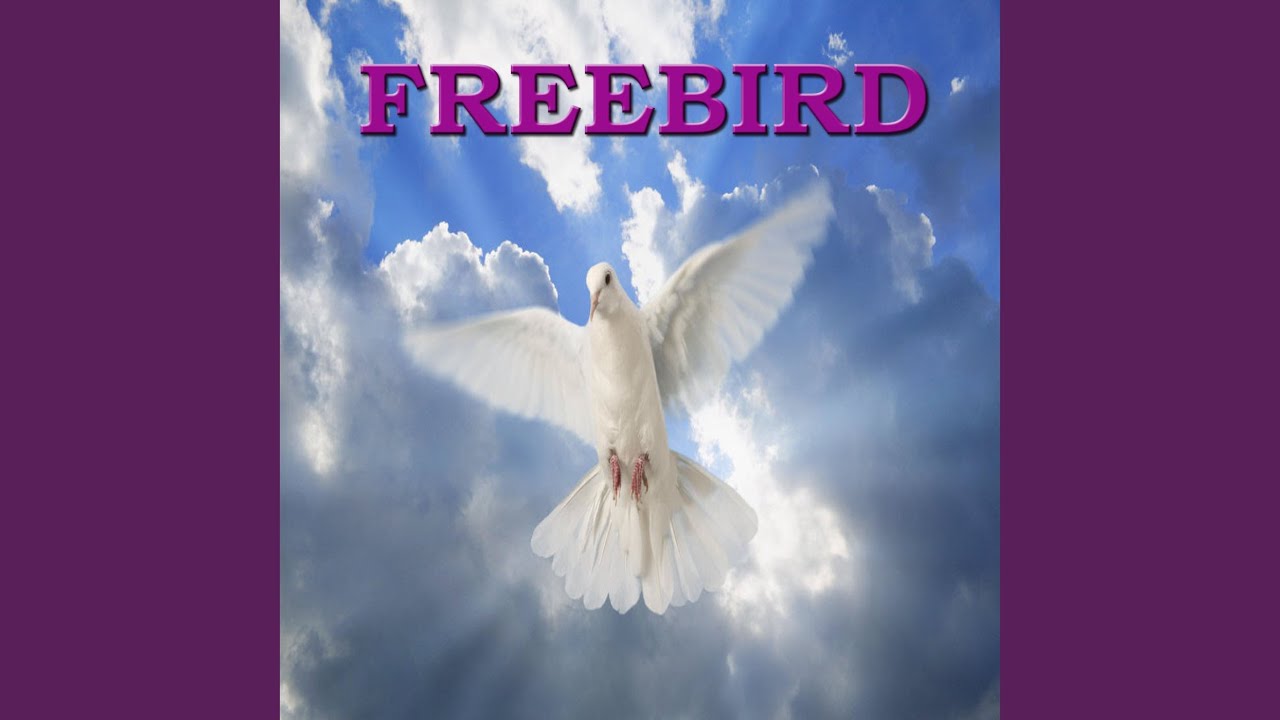 Watch Freebird Song on YouTube Watch Freebird Song on YouTube