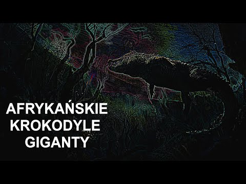 Wideo: „Coś Czarnego, Z Pyskiem Jak Krokodyl I Kangurowymi Nogami” - Alternatywny Widok