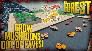 HOW TO GROW MUSHROOMS OUT OF CAVES! (v0.71) | The Forest