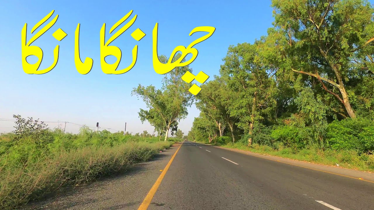Changa Manga Forest | Scenic Road Drive | چھانگا مانگا