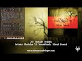 Arturia Modular V3 Presets | Vicious Antelope - Silent Forest Soundbank