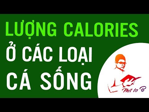 Video: Cá Có Lượng Calo Thấp Nhất Là Gì