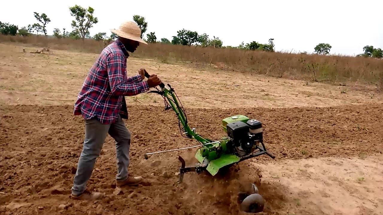 Maize Farm Basics in Nigeria: Land Preparation