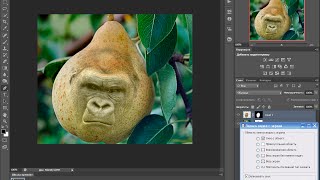 как скрестить грушу с обезьяной вставлять лица в любой предмет фотошоп cs6 как скрестить грушу с обезьяной вставлять лица в любой предмет фотошоп cs6