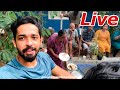 🔴Live ആയി എന്റെ മീനുകളേം കിളികളേം കാണിക്കാം | first Malayalam live stream feeding exotic fish