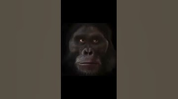 Go Back I Want To Be 🐒#short #memes #monkey #monkeys