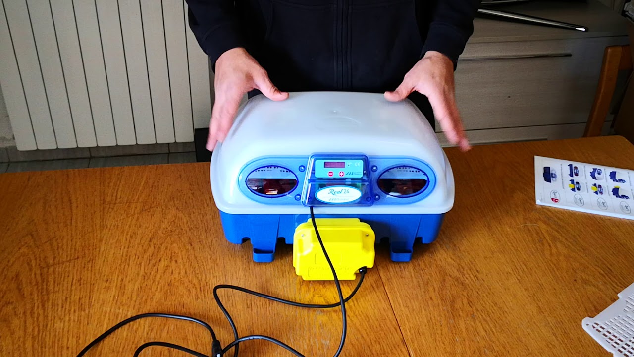 Recensione incubatrice borotto real 24 automatica - YouTube