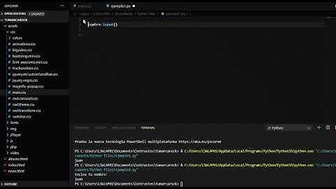 Entrada por teclado: la función input() en Python