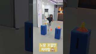 돌려차기 재밌게 연습하는 법!