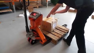 Scintex Pallet Jack Scales