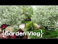 Spring Clean Up & A Small Plant Tour ║ Large Family Garden Vlog │ 2018 Ep. 2 Spring Clean Up & A Small Plant Tour ║ Large Family Garden Vlog │ 2018 Ep. 2
