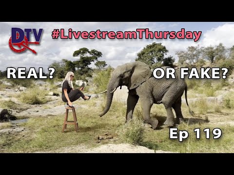 Ep119 DANCE CHALLENGES and ELEPHANTS #livestreamthursday #theduttons #duttontv
