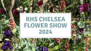 RHS CHELSEA FLOWER SHOW 2024 // Cottoverdi
