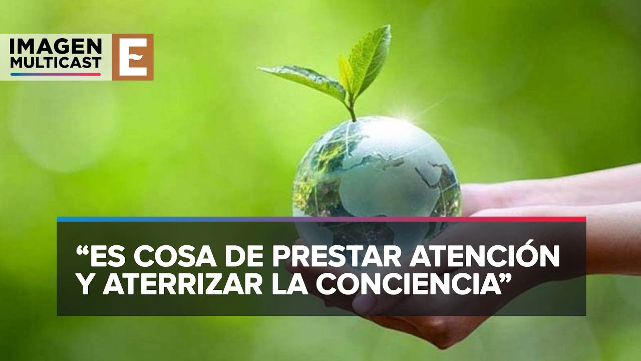 Conexión entre el ser humano y la naturaleza | Juntos Por El Planeta ...