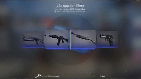 Opening One Of Every Case in CS:GO