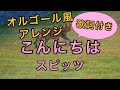 【オルゴールBGM】こんにちは / スピッツ(歌詞つき)【癒し】