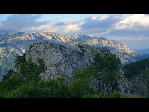 Video: Peisazhi Në Brendësi