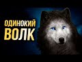 Мотивация для тех, кто одинок - Сильные слова