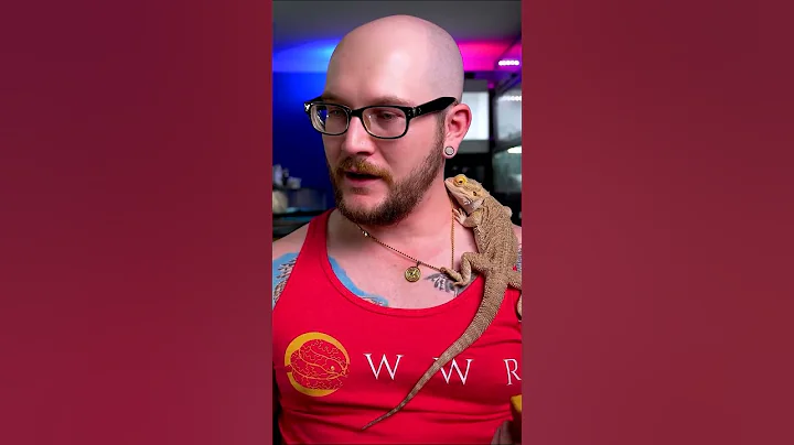 5 USELESS Reptile Products You're WASTING Your Money On!