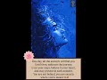 Trust the journey#wisdom #innerpeace #happiness #love #wellness #dailymotivation #believe #faith #om