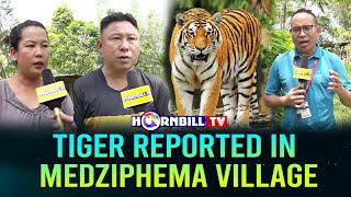 TIGER REPORTED IN MEDZIPHEMA VILLAGE Resimi