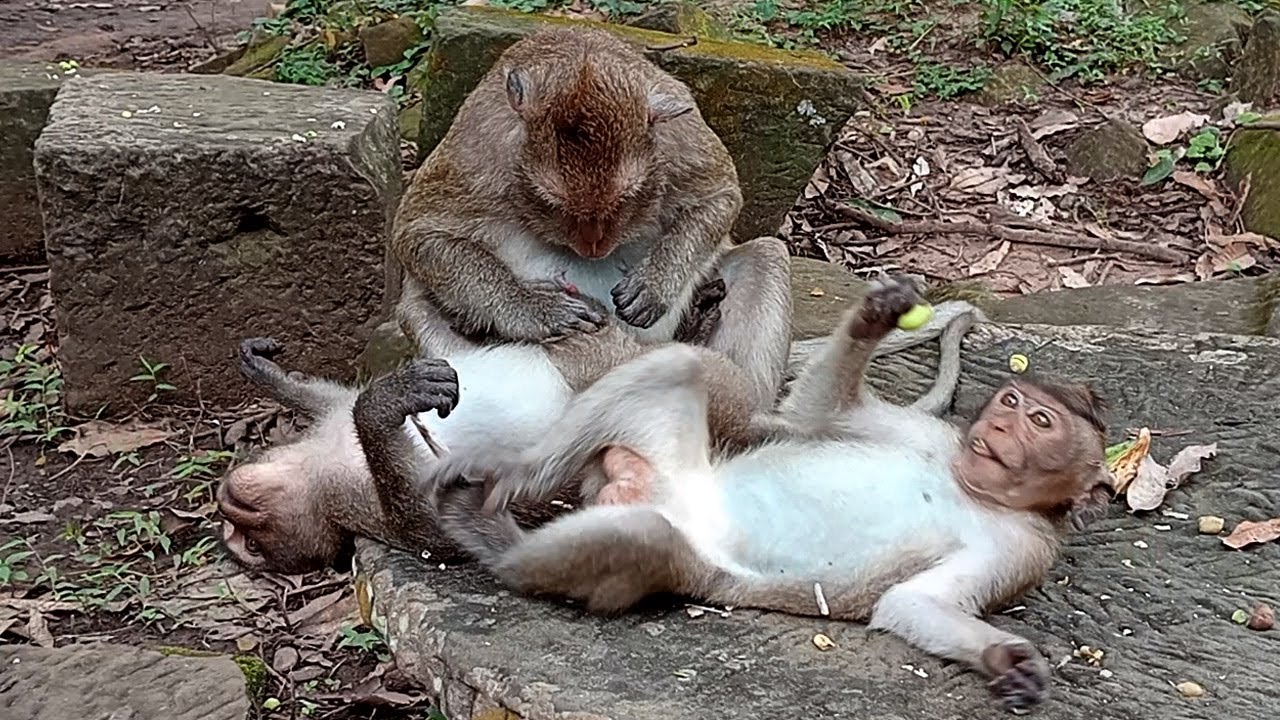 Peaceful family...! Great mamma queen April give harmony to Antonia & Armando, Lovely family