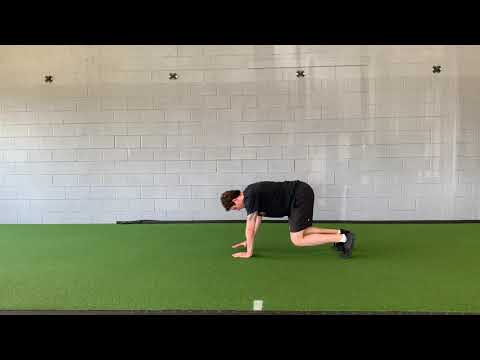 Bear Plank Shoulder Tap