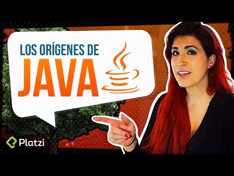 Video: ¿Por qué Java es robusto y seguro?