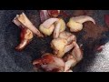 الزعيم يفك السحر من اضافر الطيور الزعيم يفك السحر من اضافر الطيور