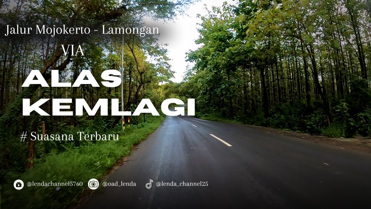 ALAS KEMLAGI JALUR MOJOKERTO-LAMONGAN ‼️