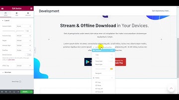 ElementsReady App Download Button Widget