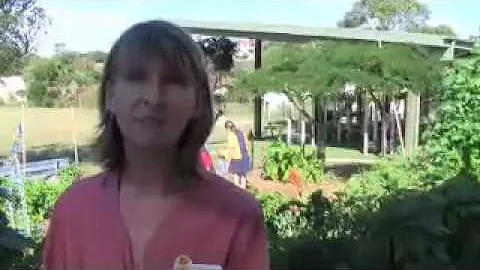 Video Jodie Stephens.mov