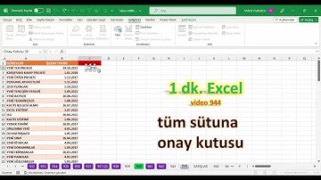 Excel 1 Dakika - Tüm sütuna onay kutusu koymak