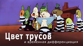 Цвет трусов и ЧАСЫ