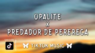 OPALITE X PREDADOR DE PERERECA Remix (Lyrics) Tiktok Mashup, Dj Choijay