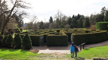 How To Beat Any Maze!