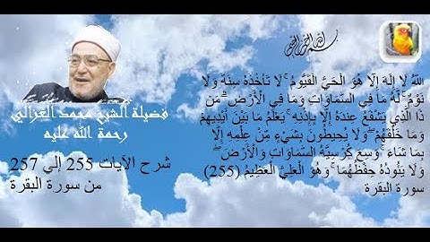 فضيلة الشيخ محمد الغزالي وشرح الآيات 255 إلي 257 من سورة البقرة